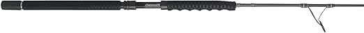 PENN Carnage II & Carnage III Spinning Fishing Rod